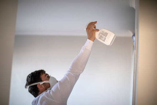 Best Mold Removal Near Me  in Attica, MI