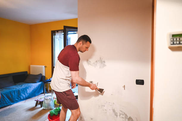 Best Professional Mold Removal  in Attica, MI